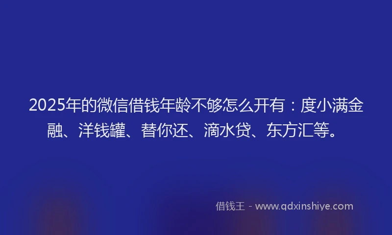 2025年的微信借钱年龄不够怎么开有：度小满金融、洋钱罐、替你还、滴水贷、东方汇等。