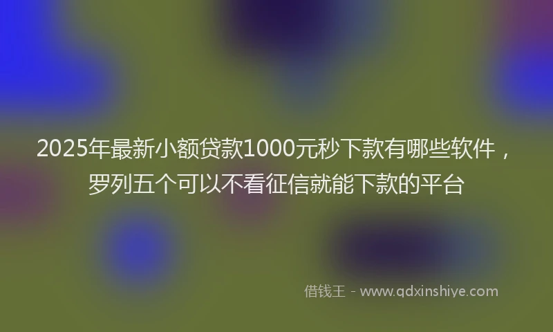 2025年最新小额贷款1000元秒下款有哪些软件，罗列五个可以不看征信就能下款的平台