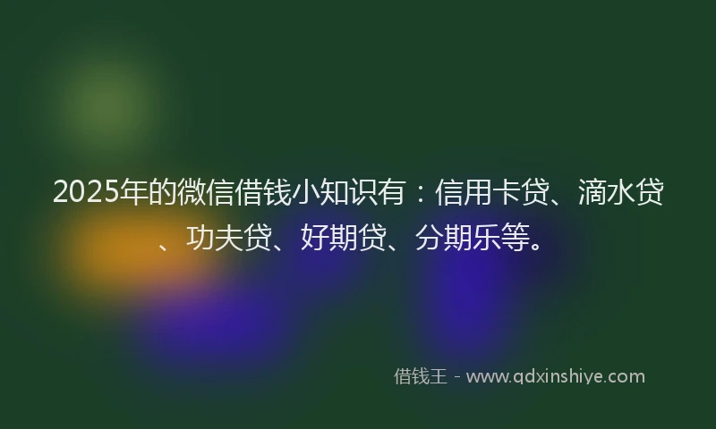 2025年的微信借钱小知识有：信用卡贷、滴水贷、功夫贷、好期贷、分期乐等。