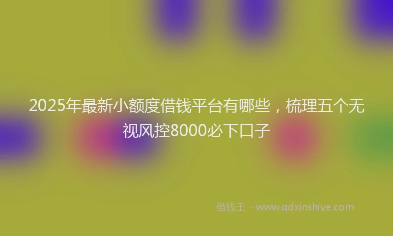 2025年最新小额度借钱平台有哪些，梳理五个无视风控8000必下口子