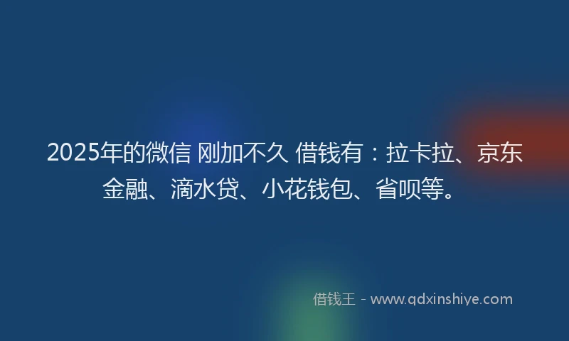 2025年的微信 刚加不久 借钱有：拉卡拉、京东金融、滴水贷、小花钱包、省呗等。