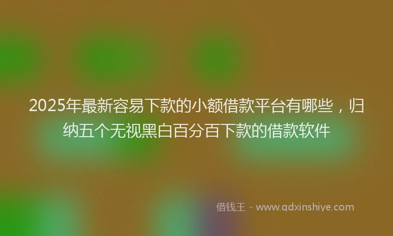 2025年最新容易下款的小额借款平台有哪些，归纳五个无视黑白百分百下款的借款软件