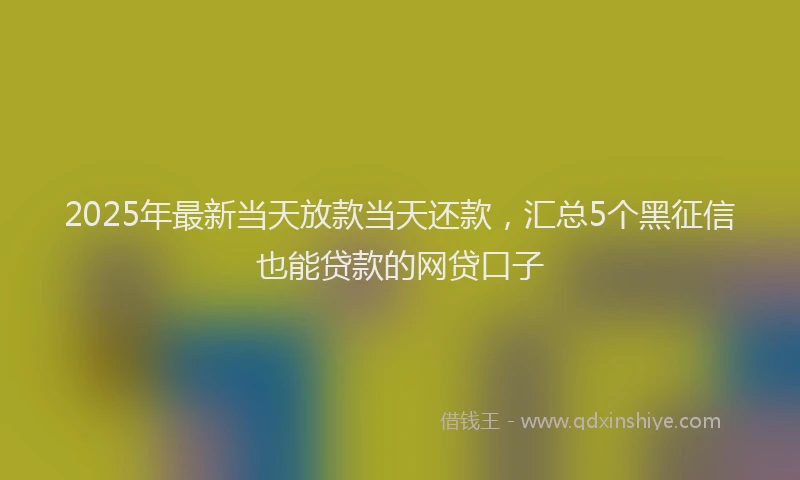 2025年最新当天放款当天还款，汇总5个黑征信也能贷款的网贷口子
