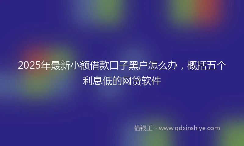 2025年最新小额借款口子黑户怎么办，概括五个利息低的网贷软件