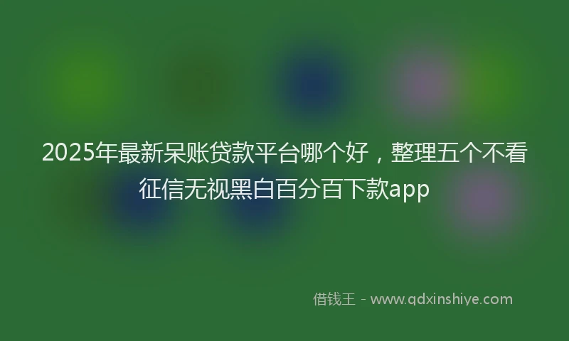 2025年最新呆账贷款平台哪个好，整理五个不看征信无视黑白百分百下款app