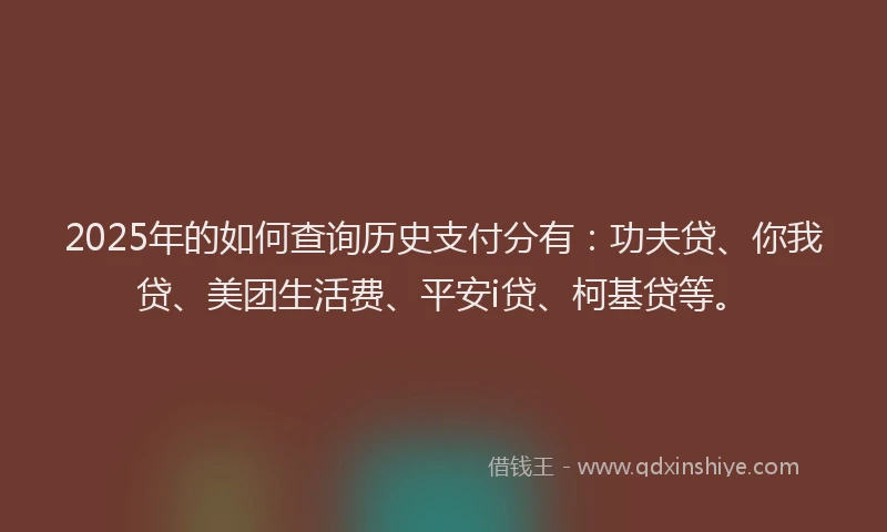 2025年的如何查询历史支付分有：功夫贷、你我贷、美团生活费、平安i贷、柯基贷等。
