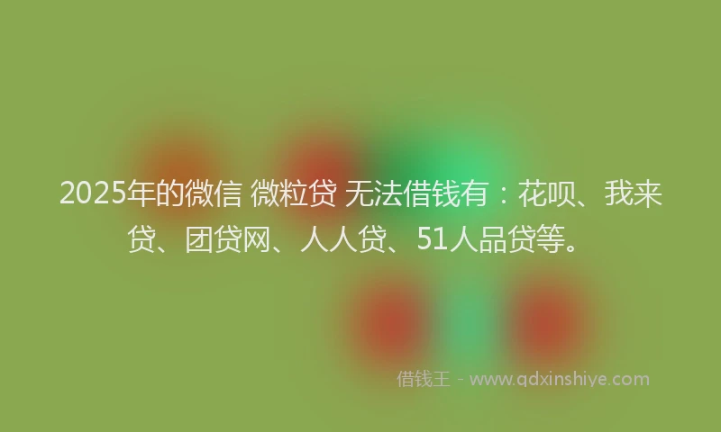 2025年的微信 微粒贷 无法借钱有：花呗、我来贷、团贷网、人人贷、51人品贷等。