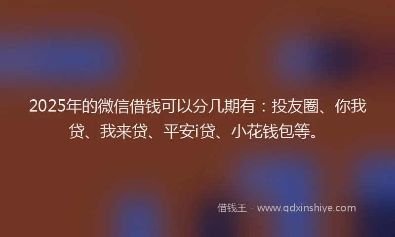 2025年的微信借钱可以分几期有：投友圈、你我贷、我来贷、平安i贷、小花钱包等。