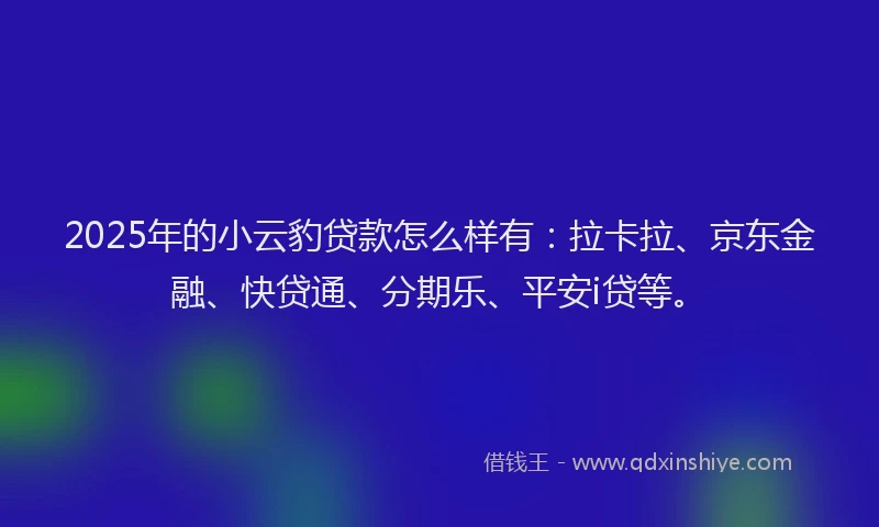 2025年的小云豹贷款怎么样有：拉卡拉、京东金融、快贷通、分期乐、平安i贷等。