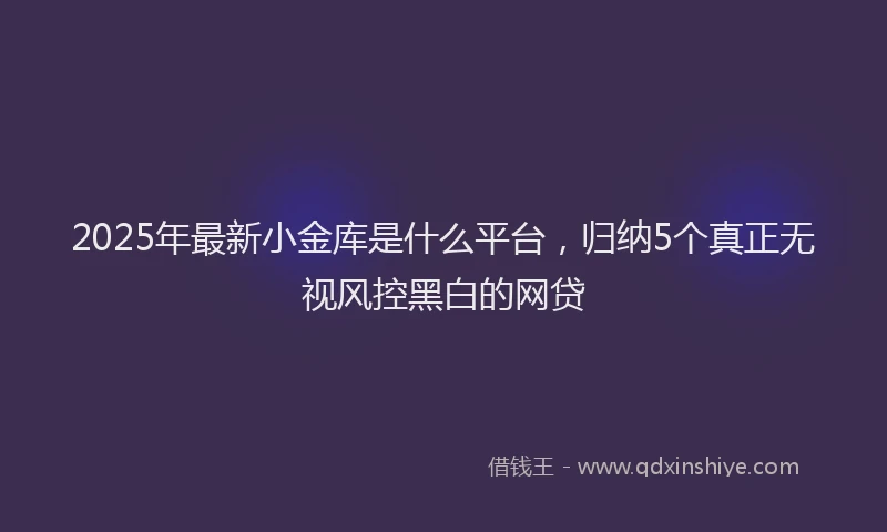 2025年最新小金库是什么平台，归纳5个真正无视风控黑白的网贷