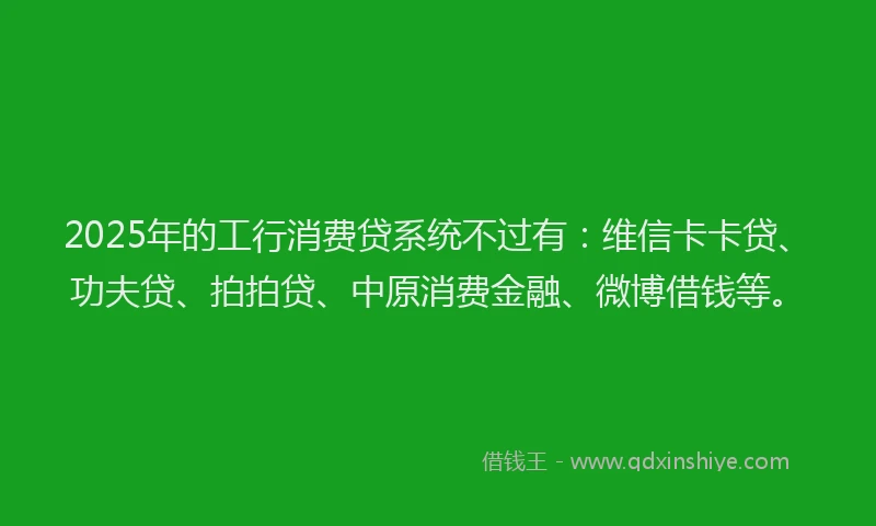2025年的工行消费贷系统不过有：维信卡卡贷、功夫贷、拍拍贷、中原消费金融、微博借钱等。