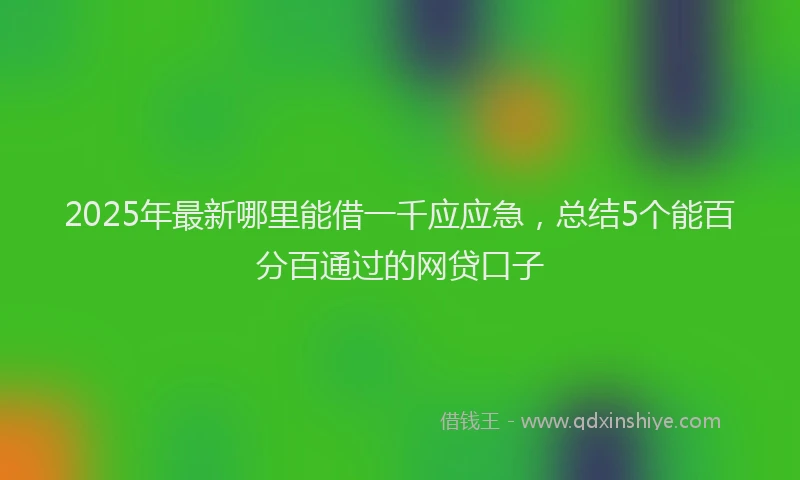 2025年最新哪里能借一千应应急，总结5个能百分百通过的网贷口子