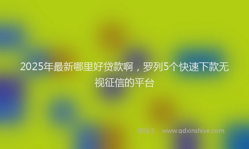 2025年最新哪里好贷款啊，罗列5个快速下款无视征信的平台