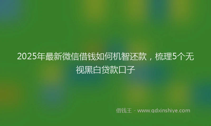 2025年最新微信借钱如何机智还款，梳理5个无视黑白贷款口子