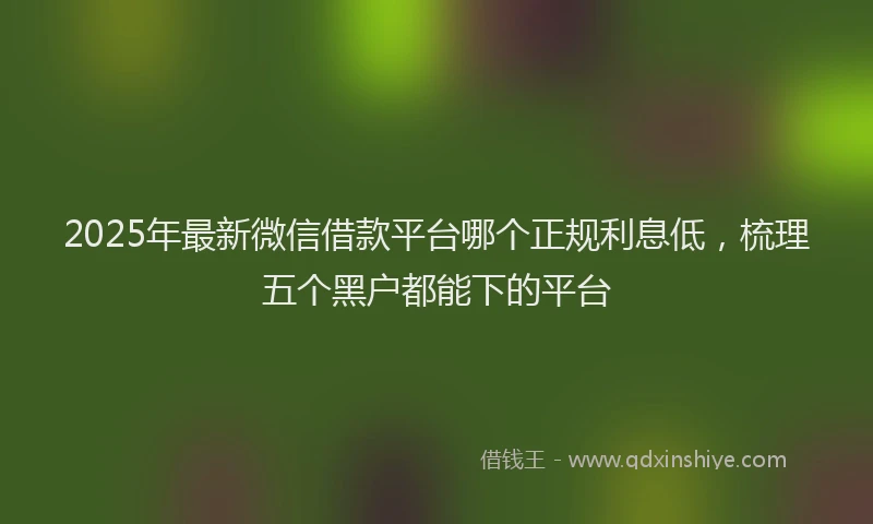 2025年最新微信借款平台哪个正规利息低，梳理五个黑户都能下的平台
