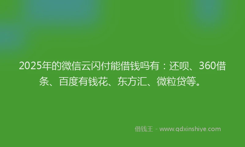2025年的微信云闪付能借钱吗有：还呗、360借条、百度有钱花、东方汇、微粒贷等。