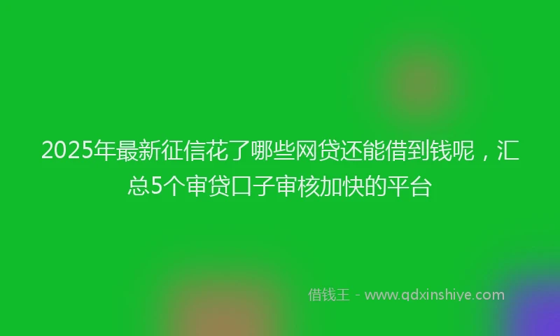 2025年最新征信花了哪些网贷还能借到钱呢，汇总5个审贷口子审核加快的平台
