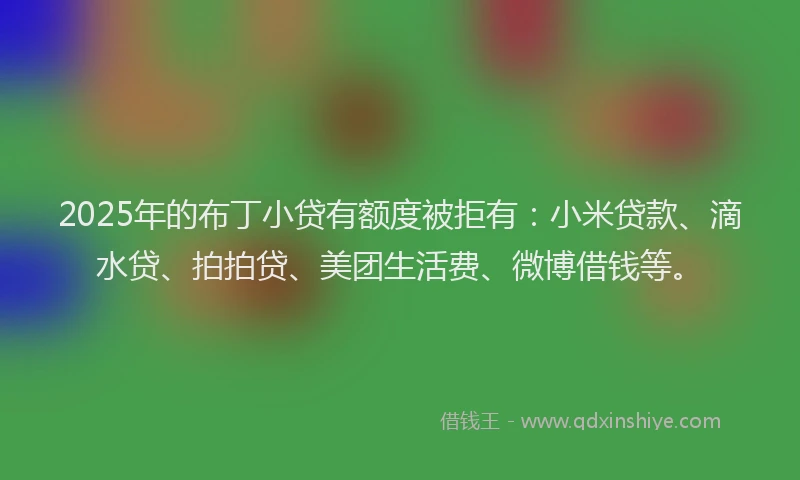 2025年的布丁小贷有额度被拒有：小米贷款、滴水贷、拍拍贷、美团生活费、微博借钱等。
