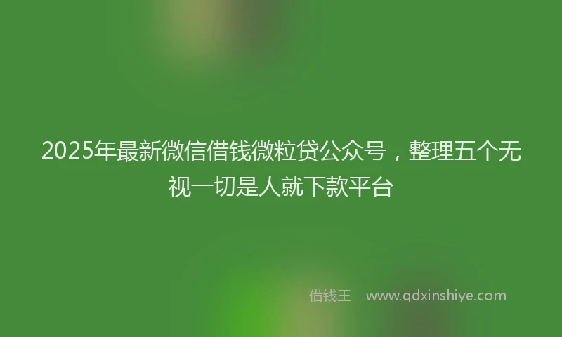 2025年最新微信借钱微粒贷公众号，整理五个无视一切是人就下款平台
