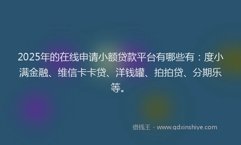 2025年的在线申请小额贷款平台有哪些有：度小满金融、维信卡卡贷、洋钱罐、拍拍贷、分期乐等。