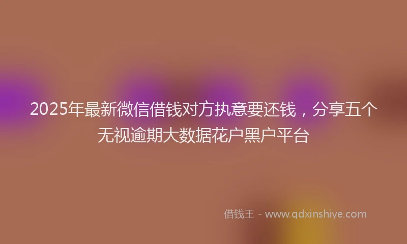 2025年最新微信借钱对方执意要还钱，分享五个无视逾期大数据花户黑户平台