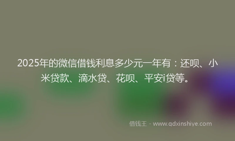 2025年的微信借钱利息多少元一年有：还呗、小米贷款、滴水贷、花呗、平安i贷等。