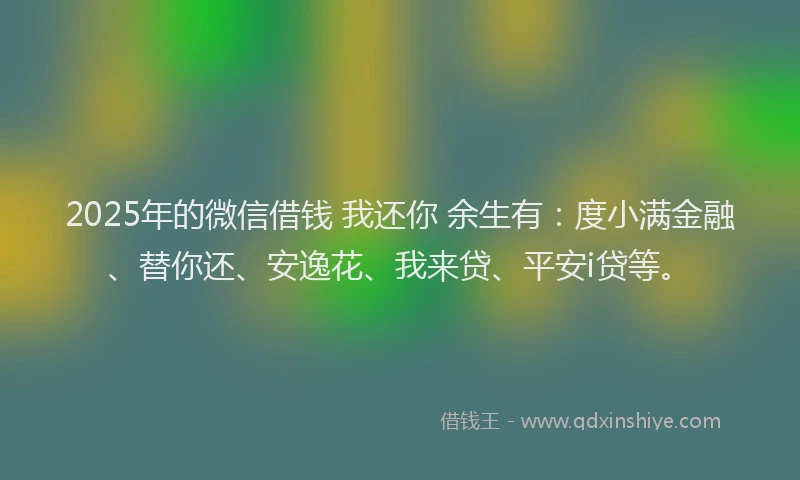 2025年的微信借钱 我还你 余生有：度小满金融、替你还、安逸花、我来贷、平安i贷等。