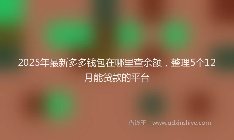2025年最新多多钱包在哪里查余额，整理5个12月能贷款的平台