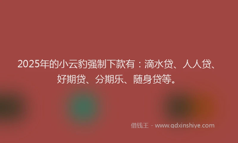 2025年的小云豹强制下款有：滴水贷、人人贷、好期贷、分期乐、随身贷等。
