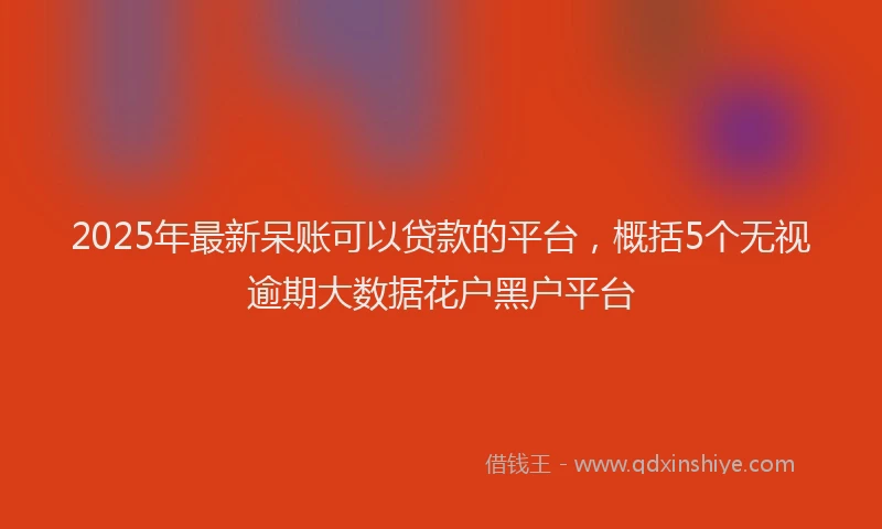 2025年最新呆账可以贷款的平台，概括5个无视逾期大数据花户黑户平台