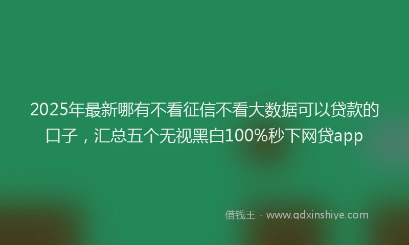 2025年最新哪有不看征信不看大数据可以贷款的口子，汇总五个无视黑白100%秒下网贷app