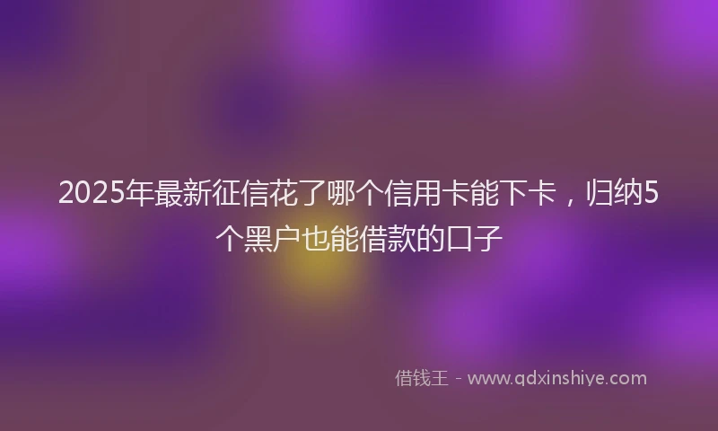 2025年最新征信花了哪个信用卡能下卡，归纳5个黑户也能借款的口子