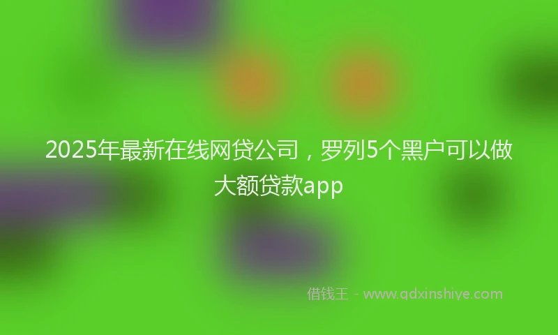 2025年最新在线网贷公司，罗列5个黑户可以做大额贷款app