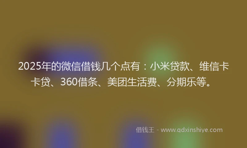 2025年的微信借钱几个点有：小米贷款、维信卡卡贷、360借条、美团生活费、分期乐等。
