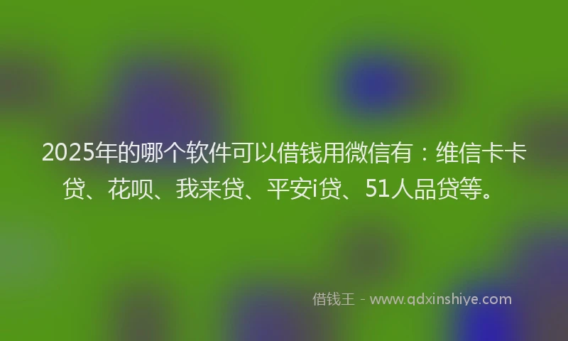 2025年的哪个软件可以借钱用微信有：维信卡卡贷、花呗、我来贷、平安i贷、51人品贷等。
