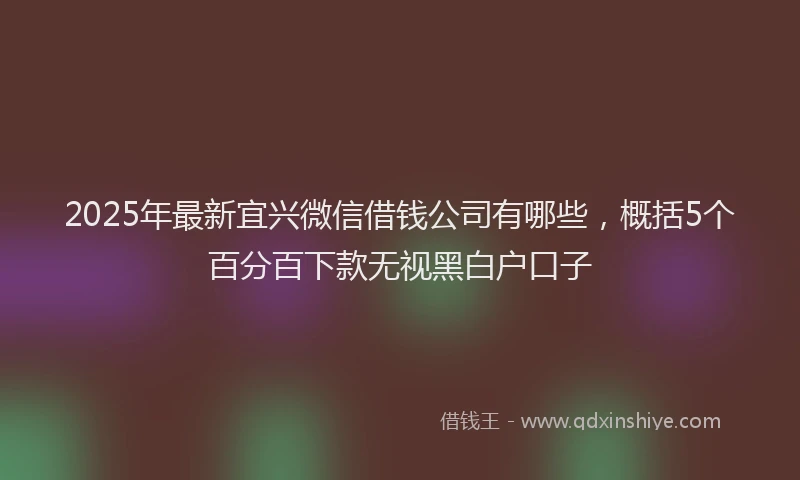 2025年最新宜兴微信借钱公司有哪些，概括5个百分百下款无视黑白户口子