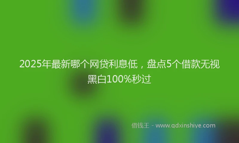 2025年最新哪个网贷利息低，盘点5个借款无视黑白100%秒过
