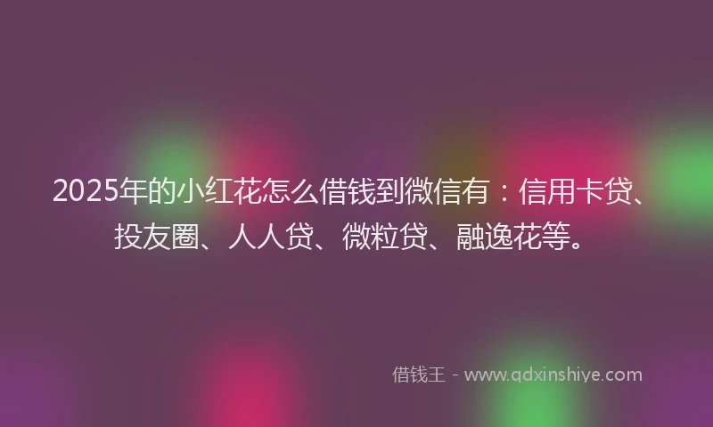 2025年的小红花怎么借钱到微信有：信用卡贷、投友圈、人人贷、微粒贷、融逸花等。