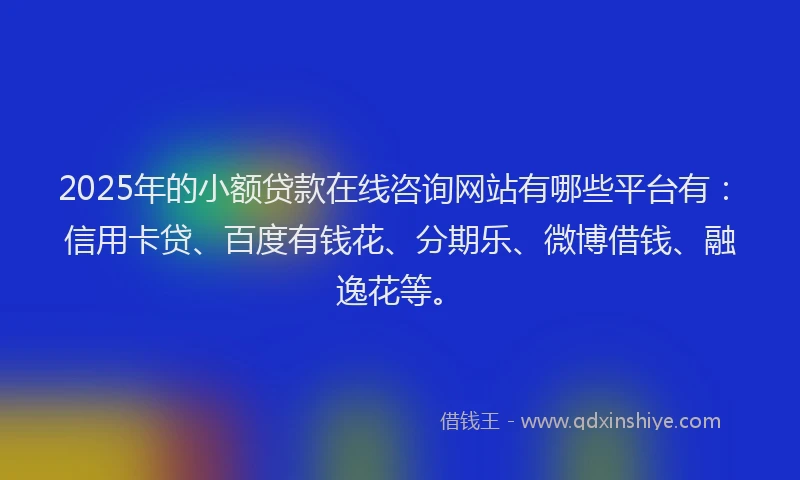 2025年的小额贷款在线咨询网站有哪些平台有：信用卡贷、百度有钱花、分期乐、微博借钱、融逸花等。