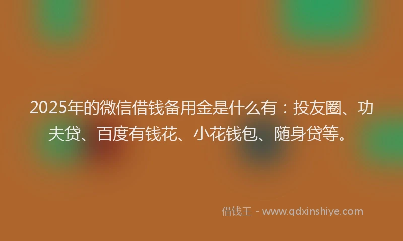2025年的微信借钱备用金是什么有：投友圈、功夫贷、百度有钱花、小花钱包、随身贷等。