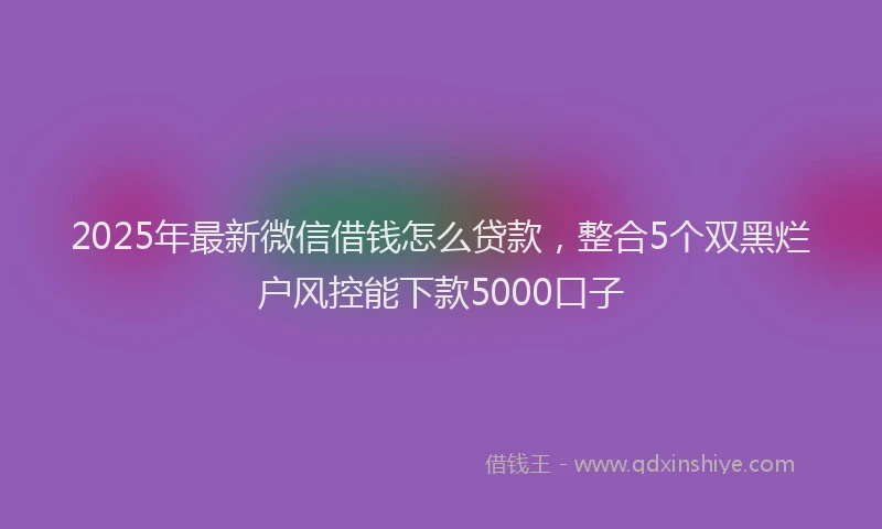 2025年最新微信借钱怎么贷款，整合5个双黑烂户风控能下款5000口子