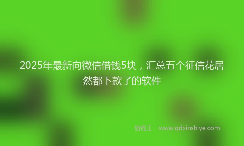 2025年最新向微信借钱5块，汇总五个征信花居然都下款了的软件