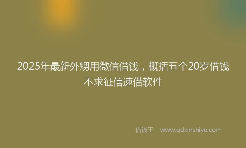 2025年最新外甥用微信借钱，概括五个20岁借钱不求征信速借软件