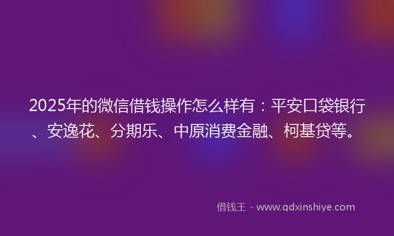 2025年的微信借钱操作怎么样有：平安口袋银行、安逸花、分期乐、中原消费金融、柯基贷等。