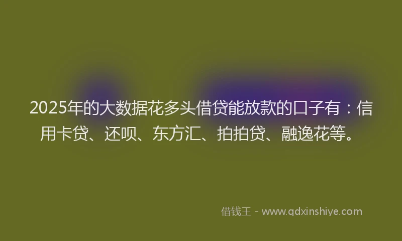 2025年的大数据花多头借贷能放款的口子有：信用卡贷、还呗、东方汇、拍拍贷、融逸花等。