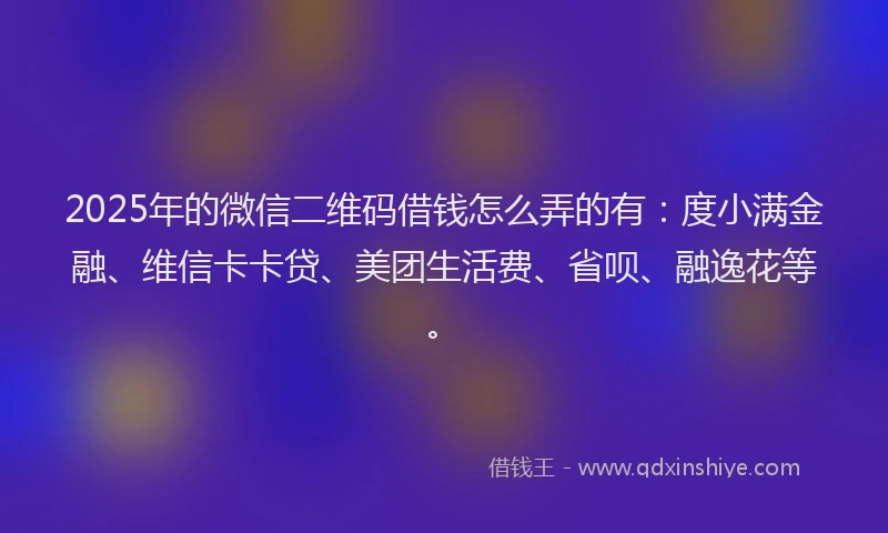 2025年的微信二维码借钱怎么弄的有：度小满金融、维信卡卡贷、美团生活费、省呗、融逸花等。