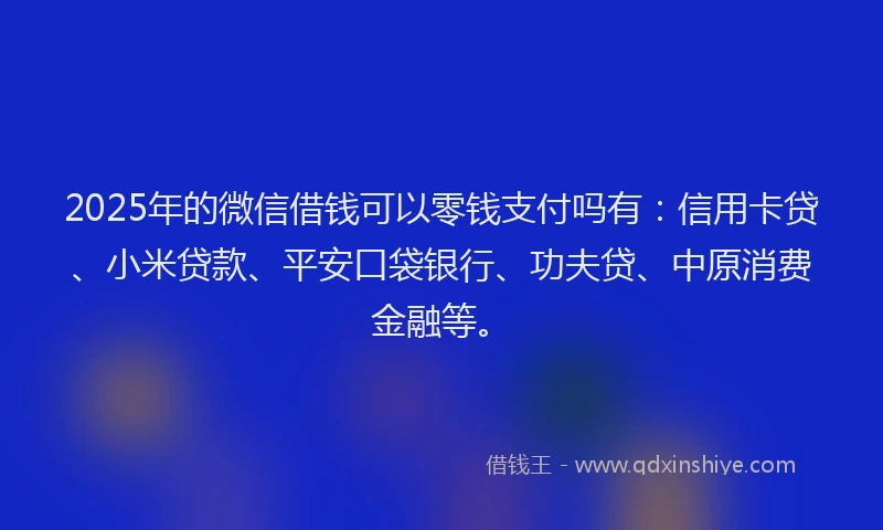 2025年的微信借钱可以零钱支付吗有：信用卡贷、小米贷款、平安口袋银行、功夫贷、中原消费金融等。