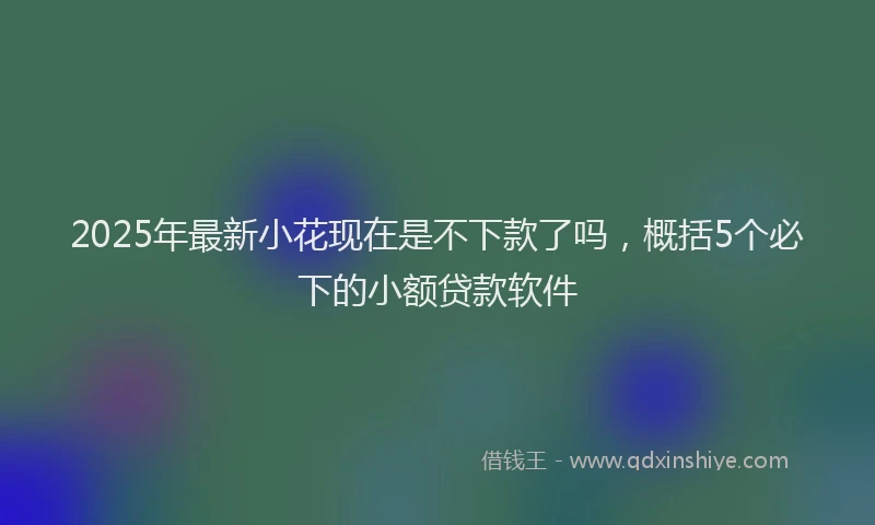 2025年最新小花现在是不下款了吗，概括5个必下的小额贷款软件
