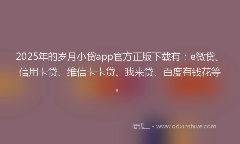 2025年的岁月小贷app官方正版下载有：e微贷、信用卡贷、维信卡卡贷、我来贷、百度有钱花等。
