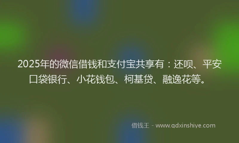 2025年的微信借钱和支付宝共享有：还呗、平安口袋银行、小花钱包、柯基贷、融逸花等。